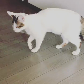 なんか変の画像