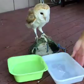 今日、ブログ休みます。の画像