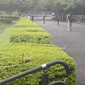 リレー選考会　中間地点⑦の画像