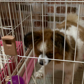 うーたんのアピールの画像