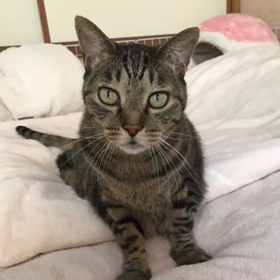 今年の目標は…の画像