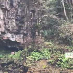 温泉。の画像
