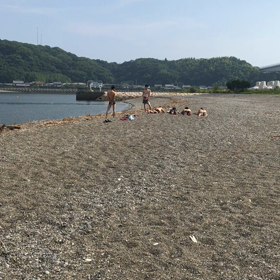 四国ツアー⑤ １日目  男の三番勝負 ビーチフラッグの画像