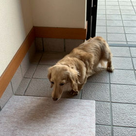 トレーニング中です…の画像