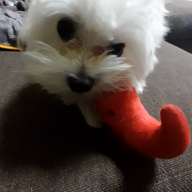 おいしい？の画像