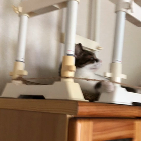 デールの体調が心配なのに容赦ないマリー。の画像