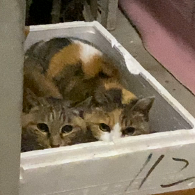 暖かくなってきてよかったね❣️の画像