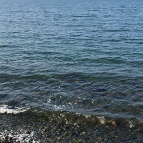 メンタルヘルスを高めるの画像