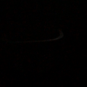 おもいやりの心の画像
