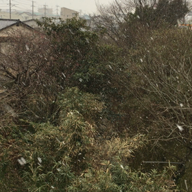 いつの間にか…の画像