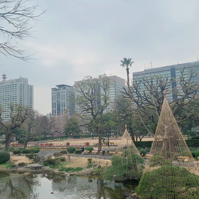 見事な曇り空の画像