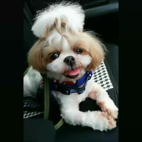 デート(◍•ᴗ•◍)✧*。の画像