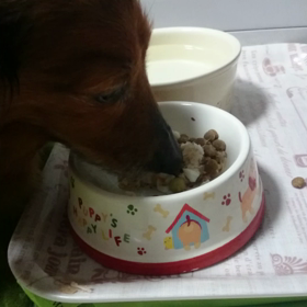 ごはん動画の画像