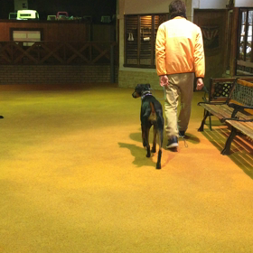 さてさて歩き方〜〜勉強編の画像