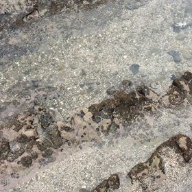 千倉の海の画像