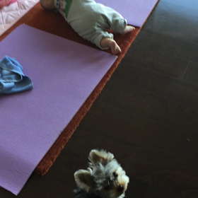 ごろごろ。の画像