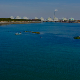 ２０１７名古屋市農業センターの枝垂れ梅と新舞子の画像