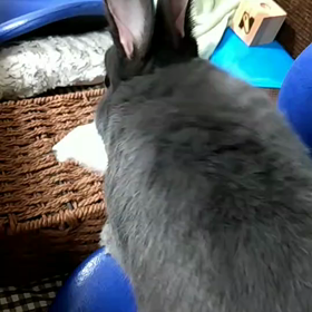 ♡いたづらします♡の画像