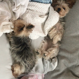 静かな時間。の画像