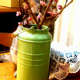 リリィのいたずらの画像