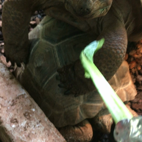 2018.5.17②の画像