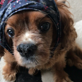 笑った...♪*ﾟの画像