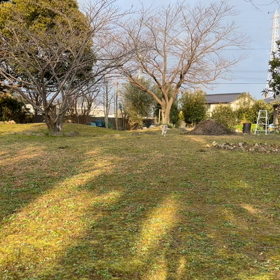 新年☆新しい機種での画像