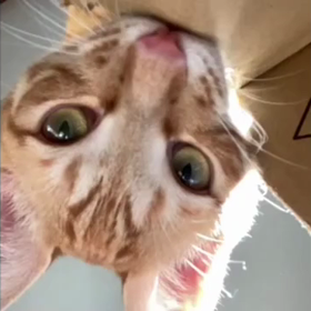 ひかるからの幸せ？！便り♪の画像