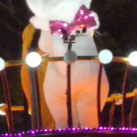 ［ガチ動画］マリーちゃんとプルートの画像