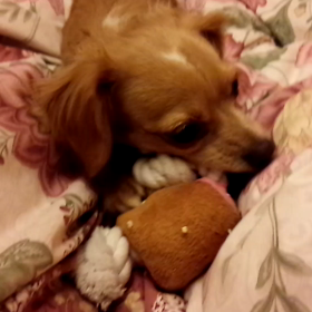 まぶたも一緒に動くのよ！の画像