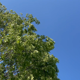 5月のレッスンスケジュールの画像