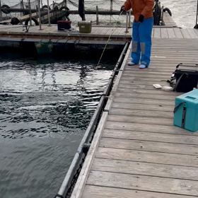 釣り堀の画像