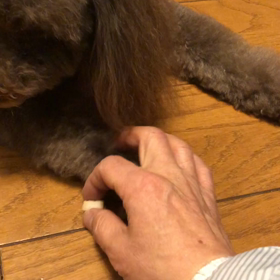 感謝❗️の画像