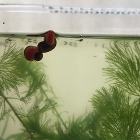 久々 動画の画像