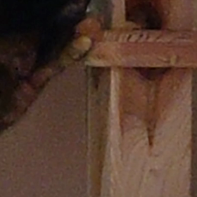 秘蔵映像(//∇//)♥️の画像