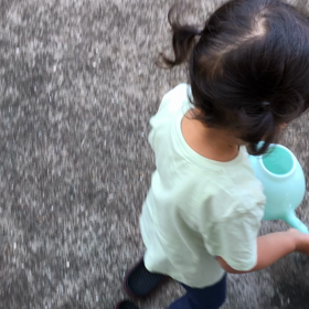 そろそろ収穫。の画像