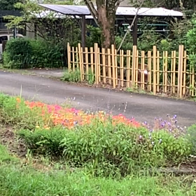 雨宿り。の画像