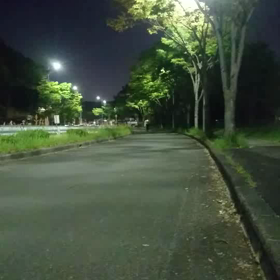 *5月に突入してランニング*の画像