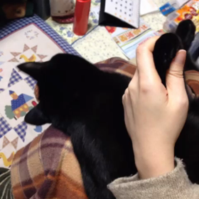 爪切りごっこの画像