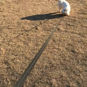 走らせるの画像