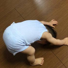 うんとこどっこいしょの画像