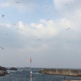出雲の旅の画像