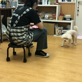 ソナ編。の画像