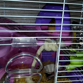 ”イベント情報★10月出展者全員集合♪”の画像