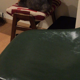 どうなる？の画像