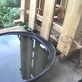 すぎぴたんの事件簿シーズン3　15話（お風呂の入り方！）の画像