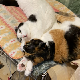 くつろぎの月曜日夜の♪さぶリナの画像