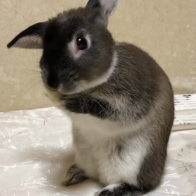 2020年スタート！の画像