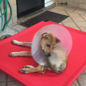 何かに気がついた瞬間の画像