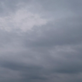 ひまわりまつり動画1の画像